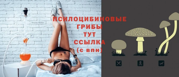 дурь Краснотурьинск