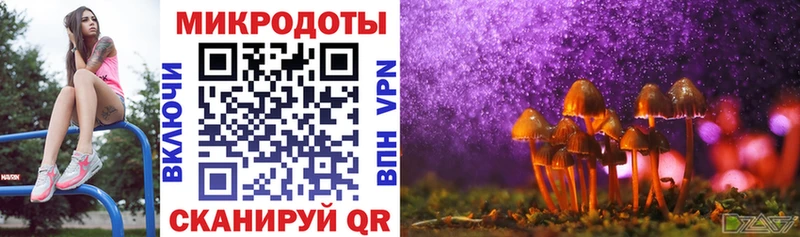 Галлюциногенные грибы Psilocybine cubensis  Купить где  Норильск 